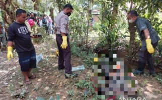 Lukman Ditemukan Tewas Telungkup di Kebun Sawit, Kondisi Mengenaskan - JPNN.com