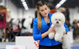 Jie-Jie Wakili Asia dalam CRUFTS 2022 Dog Show di Inggris - JPNN.com