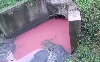 Limbah Cemari Gorong-Gorong di Bekasi, Padi Hingga Ternak Ikan Warga Mati - JPNN.com