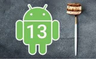 Hobi Bermain Gim di Ponsel? Android 13 Jawabannya - JPNN.com