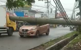 Angin Kencang Terjang Jabodetabek, Pohon Tumbang di Pamulang, 4 Orang Terluka - JPNN.com