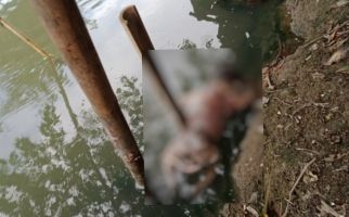 Siswadi Melihat Boneka Mengambang di Sungai, Saat Dicek, Astaghfirullah - JPNN.com