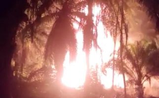 Sumur Minyak Tradisional Meledak, Api Membubung Tinggi, 3 Orang Terbakar, Lihat - JPNN.com