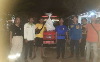 Damkar Bekasi Evakuasi Sarang Tawon Ukuran 1 Meter, Menegangkan - JPNN.com