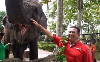 Bamsoet Kagum dengan Keindahan Wisata Levi Rafting di Bali - JPNN.com