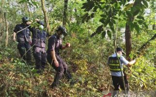 Masuk Hutan, Wakil PM China Cari Korban Kecelakaan Pesawat Boeing 737-800 - JPNN.com