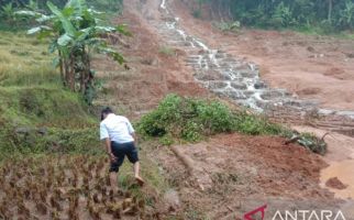 Padi Siap Panen dan Jalan Penghubung Tertutup Longsor - JPNN.com