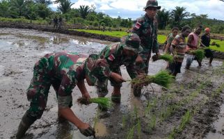 Lihat, Begini Cara Prajurit TNI Mendukung Ketahanan Pangan di Papua - JPNN.com