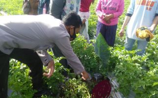 Bayi Perempuan Baru Lahir Ditemukan Terkubur di Kebun Warga, Polisi Langsung Bergerak - JPNN.com