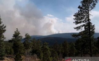 Ini Kebakaran Hutan Terbesar di Amerika, Kota Las Vegas dalam Bahaya - JPNN.com