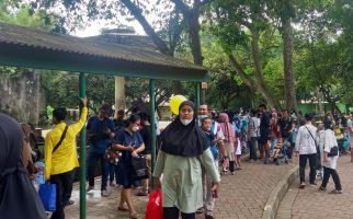 Lucu, Lokasi Terfavorit di Taman Margasatwa Ragunan - JPNN.com
