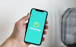 WhatsApp Meluncurkan Fitur Reaksi Status Berbentuk Emoji, Mirip Milik Stories Instagram - JPNN.com