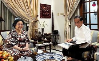 Bersilaturahmi ke Kediaman Megawati, Jokowi Malah Melakukan Ini - JPNN.com