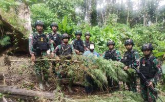 Prajurit TNI Temukan Ladang Ganja di Wilayah Perbatasan Papua - JPNN.com