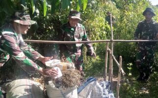 Prajurit TNI Temukan Benda Terlarang Ini saat Latihan Taktis - JPNN.com