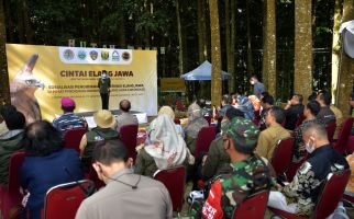Libatkan Generasi Muda, KLHK Dorong Pelestarian Elang Jawa Secara Berkelanjutan - JPNN.com