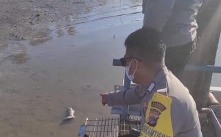 Potongan Kaki Manusia Mengapung di Dekat Pelabuhan, Warga Geger, Lihat - JPNN.com