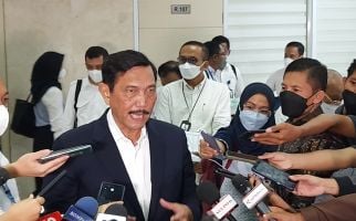 Luhut Binsar Bertemu Petinggi Negara Korsel, Bahas Apa? - JPNN.com