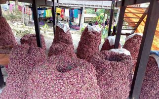 Kabar Baik Nih! Panen Mulai Berlimpah, Harga Bawang Merah Segera Kembali Normal - JPNN.com