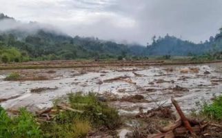 Banjir di Mamasa Merusak Puluhan Hektare Lahan Pertanian dan Hewan Ternak Hanyut - JPNN.com