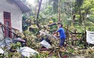 Pohon Durian Tumbang ke Rumah Warga Gegara Angin Ribut - JPNN.com