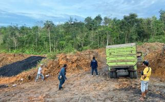 Dirjen Gakkum KLHK Beri Peringatan Keras Buat Perusak Hutan dan Lingkungan Hidup - JPNN.com