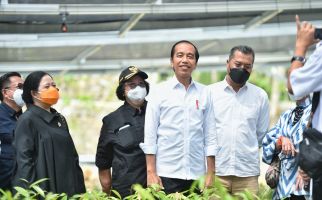 Jokowi Tunjukkan Keseriusan Pemerintah Perbaiki Lingkungan di Kawasan IKN Nusantara - JPNN.com