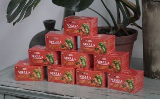 Nogula, Produk Herbal Untuk Menurunkan Kadar Gula dari NYONYA MANEES - JPNN.com