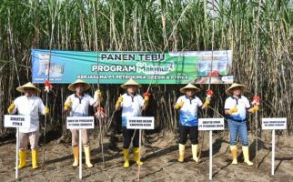 Program Makmur Tingkatkan Pendapatan Petani Tebu di Kediri - JPNN.com