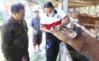 Jelang Iduladha, DPRD Klungkung Minta Pemda Percepat Penanganan PMK - JPNN.com