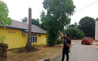 Siswi SMA di Batam Meninggal Dunia Akibat Tertimpa Pohon Kelapa - JPNN.com