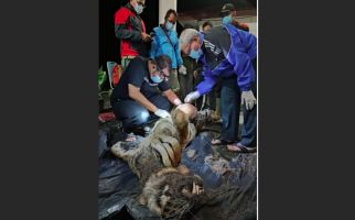 Citra Kartini Ditemukan Mati di Taman Nasional Kerinci Seblat, Mengenaskan - JPNN.com