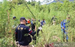 Polisi dan TNI Rela 3 Jam Berjalan Kaki Demi Tangkapan Besar, Total 13 Ton! - JPNN.com