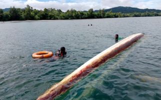 1 Korban Perahu Terbalik di Perairan Teluk Wondama Ditemukan Dalam Keadaan Meninggal Dunia - JPNN.com