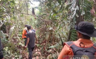 Sebelum Hilang di Tengah Hutan, Syarifuddin Sempat Mengeluh Soal Ini - JPNN.com