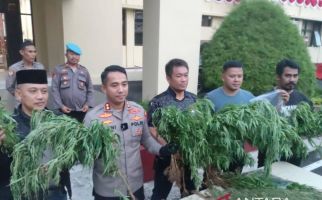 Ladang Ganja di Cianjur Sudah Pernah Dipanen, Sebegini Banyaknya, Edan - JPNN.com