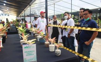 Jakarta Plant Market: Semaraknya Kontes Tanaman Hias di Ragunan - JPNN.com