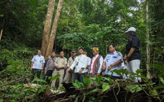 BKSDA Kalbar Melepasliarkan 30 Burung Kacer di Gunung Poteng - JPNN.com