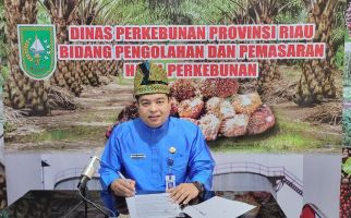 Harga TBS Kelapa Sawit di Riau Naik Lagi - JPNN.com