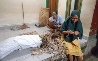 Lansia dan Mak-Mak Desa Batujai Sulap Eceng Gondok, Peluangnya Sangat Menarik - JPNN.com