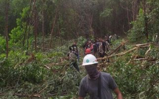 Detik-Detik Wanita Tewas Diterkam Harimau Sumatra saat Menunggu Suaminya Mandi - JPNN.com