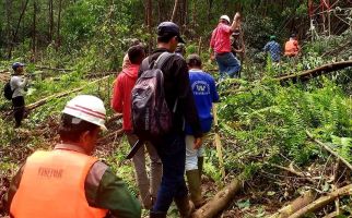 Seusai Seorang Wanita Diserang Harimau, BBKSDA Riau Pasang Perangkap di Lokasi Kejadian - JPNN.com