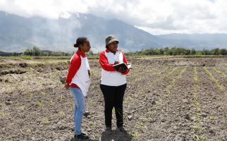 Wujudkan Ketahanan Pangan, Papua Muda Inspiratif Persiapkan Tanam Jagung di Lahan 250 Hektar - JPNN.com