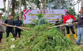 Polda Banten Buru Tersangka Sampai Ujung Sumatra dan Temukan Ladang Ganja - JPNN.com