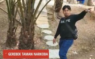 Taman Narkoba di Riau Viral, Ini Kata BNN - JPNN.com