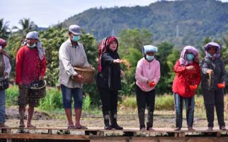 Puan Canangkan Program Dua Kali Tanam dan Panen di Toba, Warga Sambut Meriah - JPNN.com