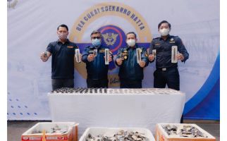 Bea Cukai Soekarno-Hatta Gagalkan Pengiriman Ribuan Kumbang dan Kelabang Kering - JPNN.com