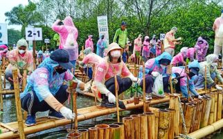 Kurangi Dampak Pemanasan Global, 3.000 Mangrove Ditanam di Pantai Indah Kapuk - JPNN.com