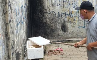 Viral Boks Mencurigakan & Mengeluarkan Bau Bangkai Bikin Geger Warga, Isinya Ternyata - JPNN.com