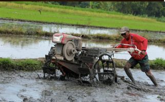 Hebat, Gapoktan Mujagi Berhasil Mengelola 100 Hektare Lahan Pertanian - JPNN.com